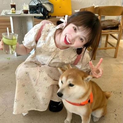双星赶月